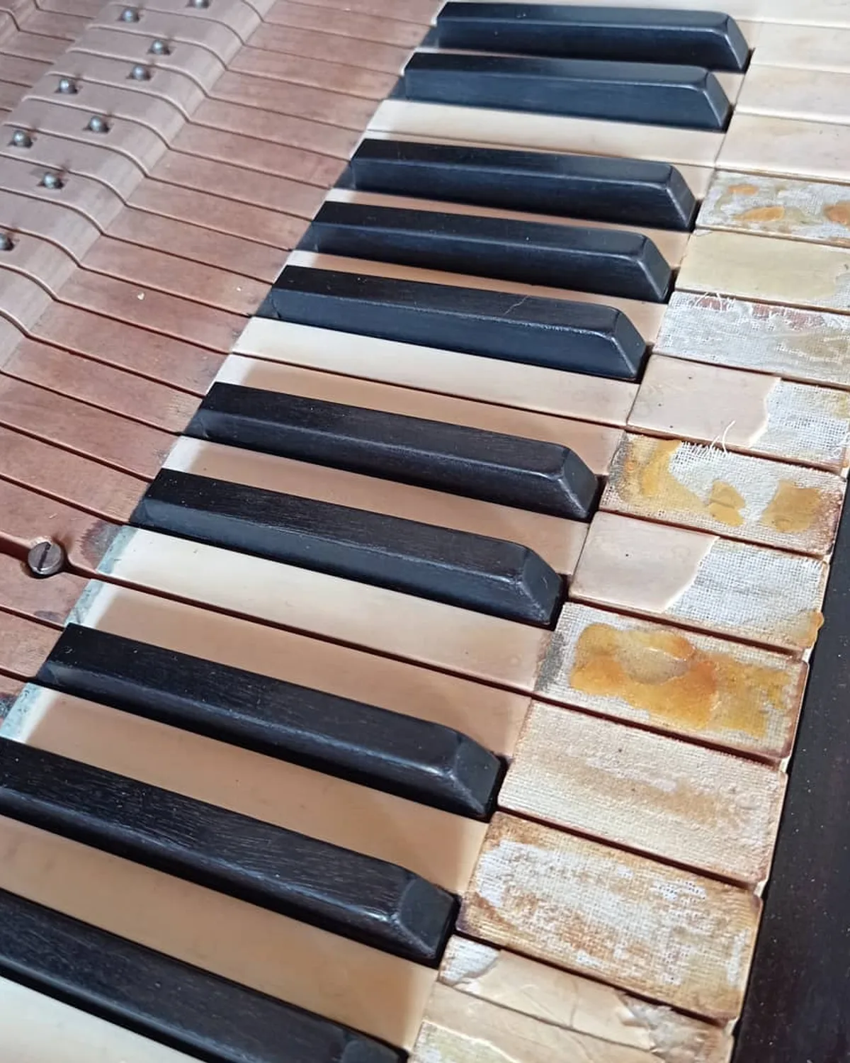 Piano vertical com teclas de marfim na oficina da Musicaltec